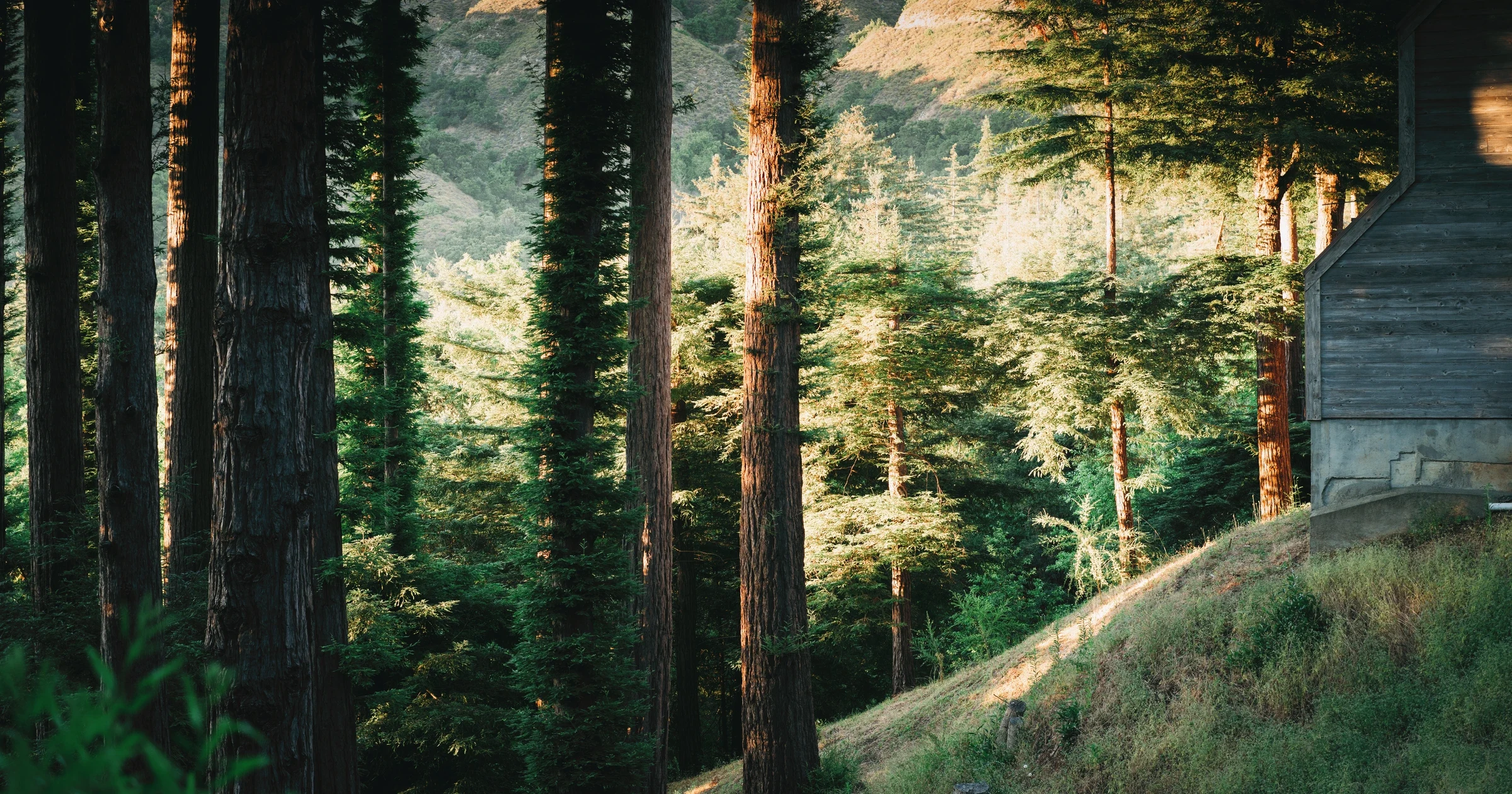 Big Sur, Highway 1