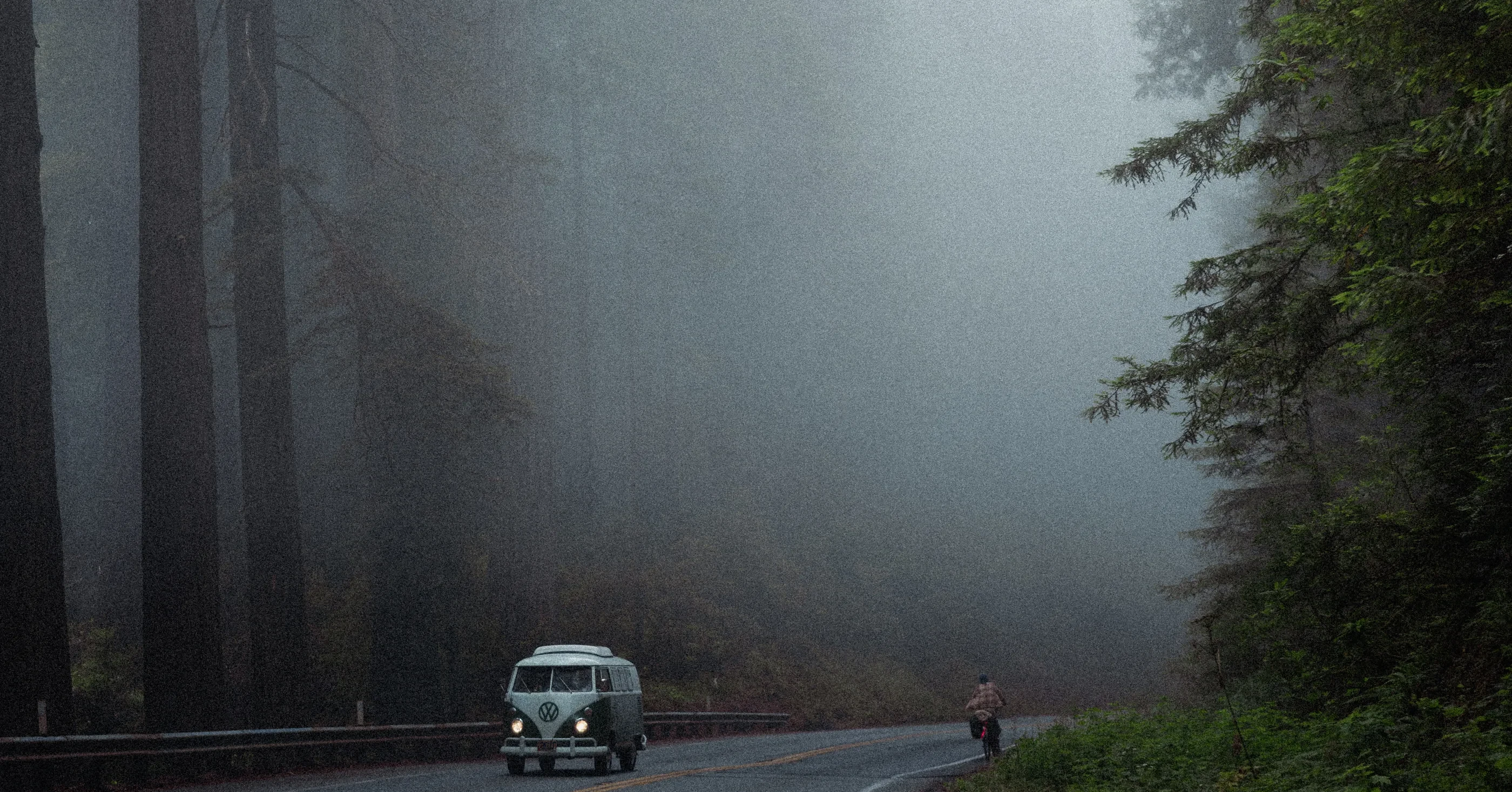 Redwood National Park